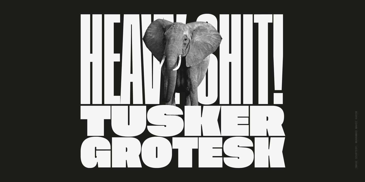 Шрифт Tusker Grotesk